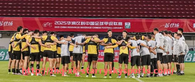 星空体育-法甲俱乐部综合竞争力对比:财政、阵容与青训系统全方面解读